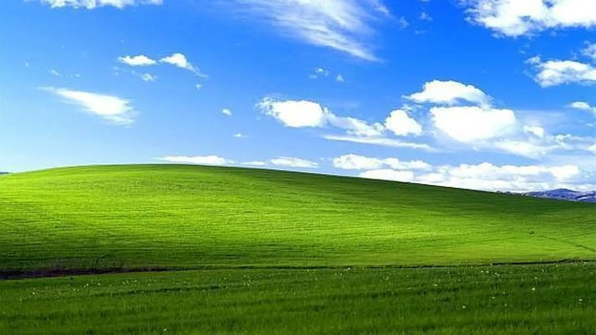 Windows XP cumple 25 años: así llegó una colina de California al ordenador de tu casa