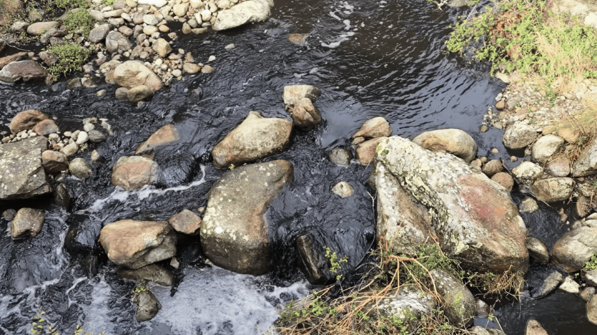 Las lluvias reabren las heridas del incendio de Burgohondo y golpean a los pueblos del Tiétar: "El agua de los grifos es inutilizable"