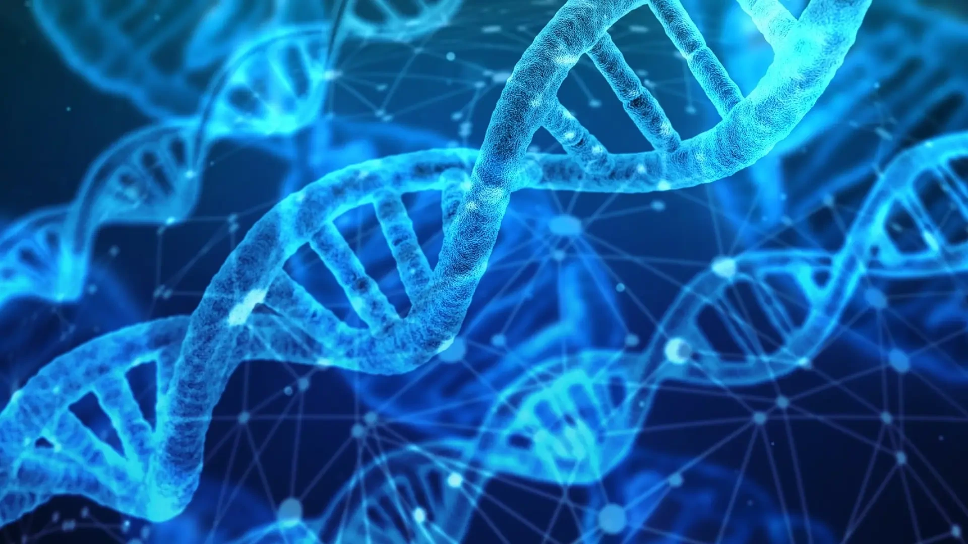 El denostado 'ADN basura' es mucho más útil de lo que parecía: puede ayudar a encender los genes