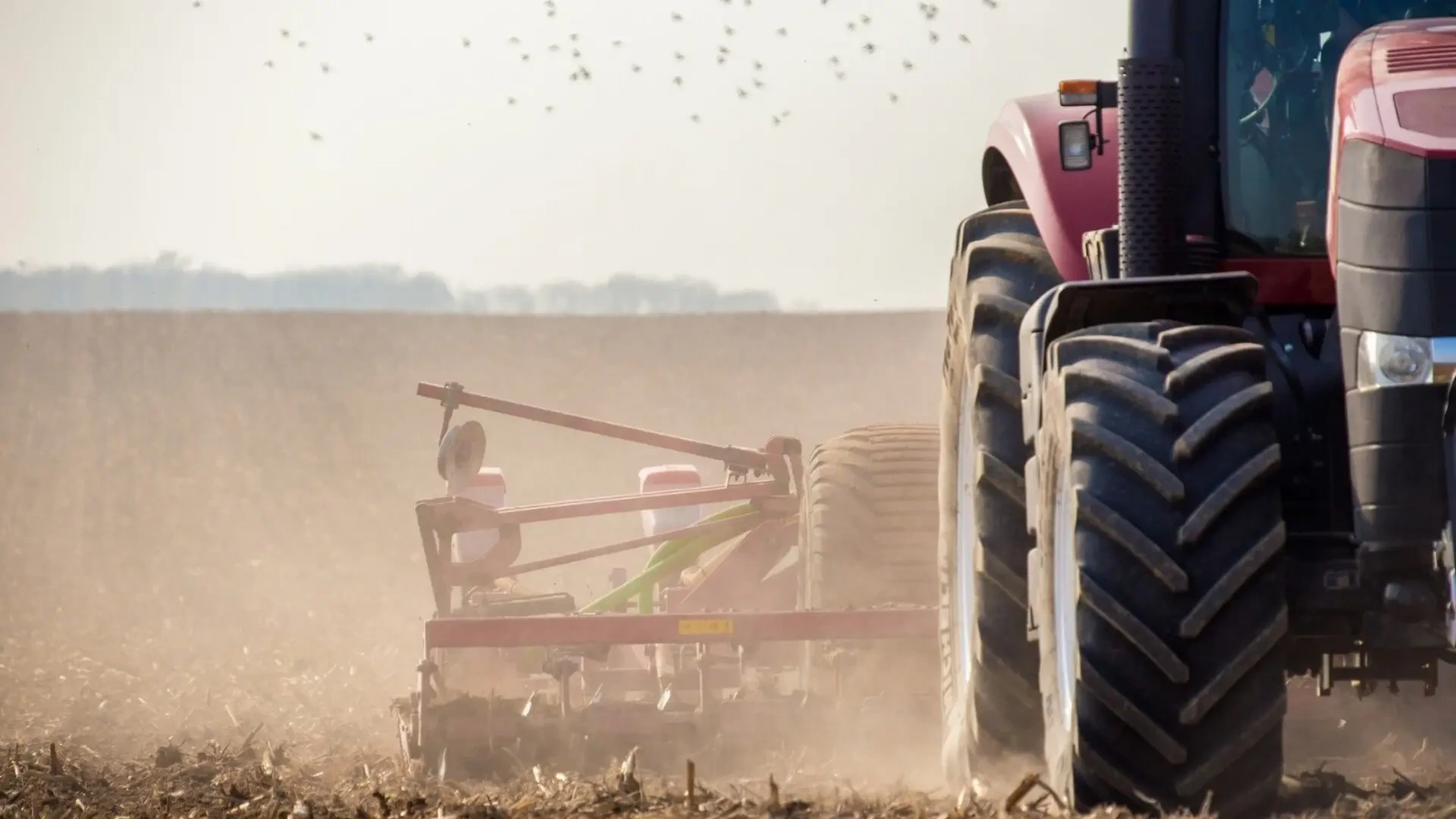 Andalucía empieza a pagar a más de 187.000 agricultores los cerca de 775 millones del adelanto de las ayudas de la PAC
