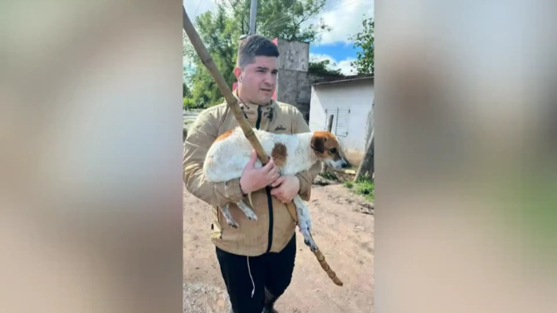 Un periodista rescata a dos perros en las inundaciones de Argentina: "Se vienen conmigo"