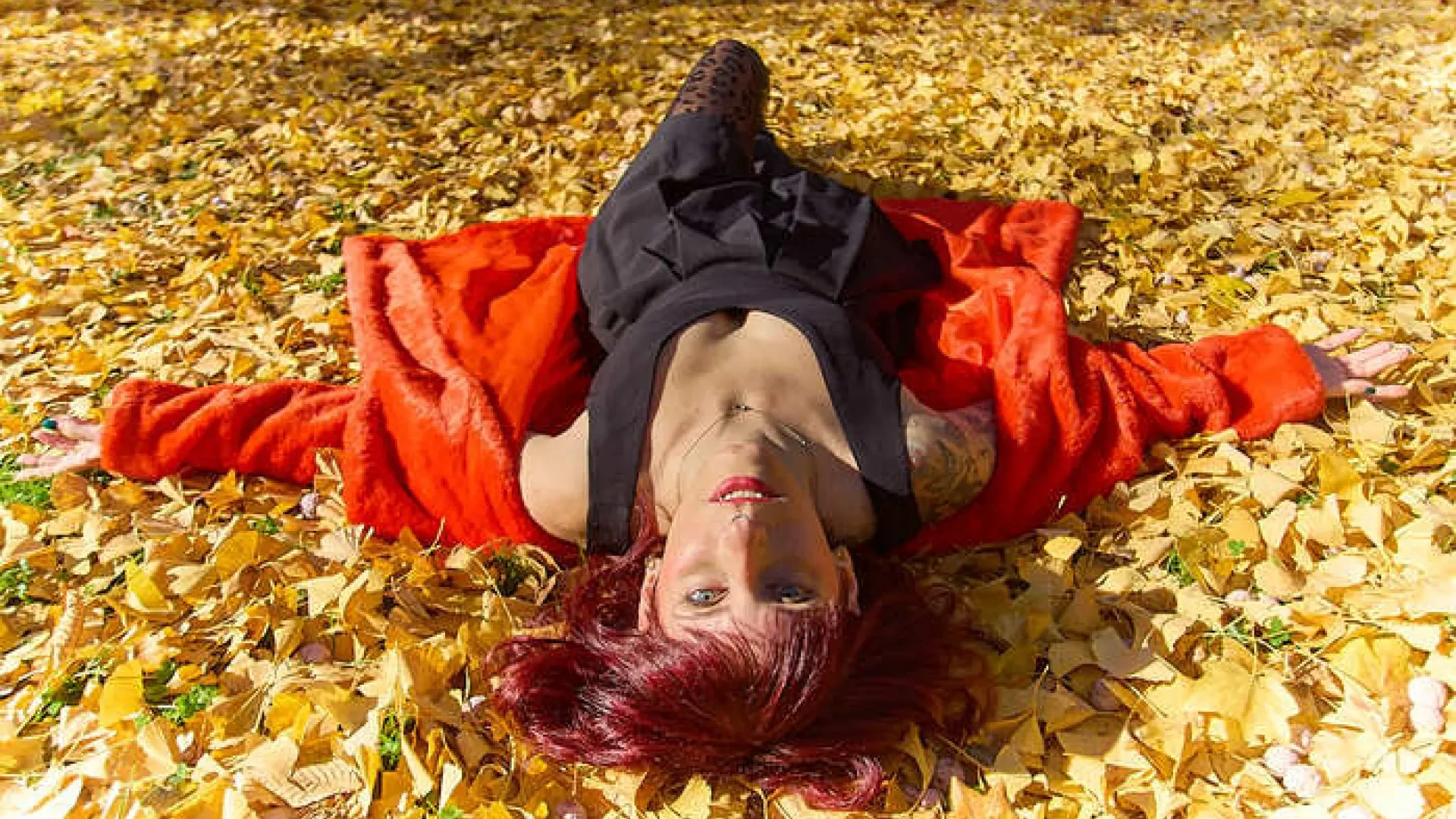 Estas son las mejores fotos del otoño de los lectores: ¡envía tus imágenes!