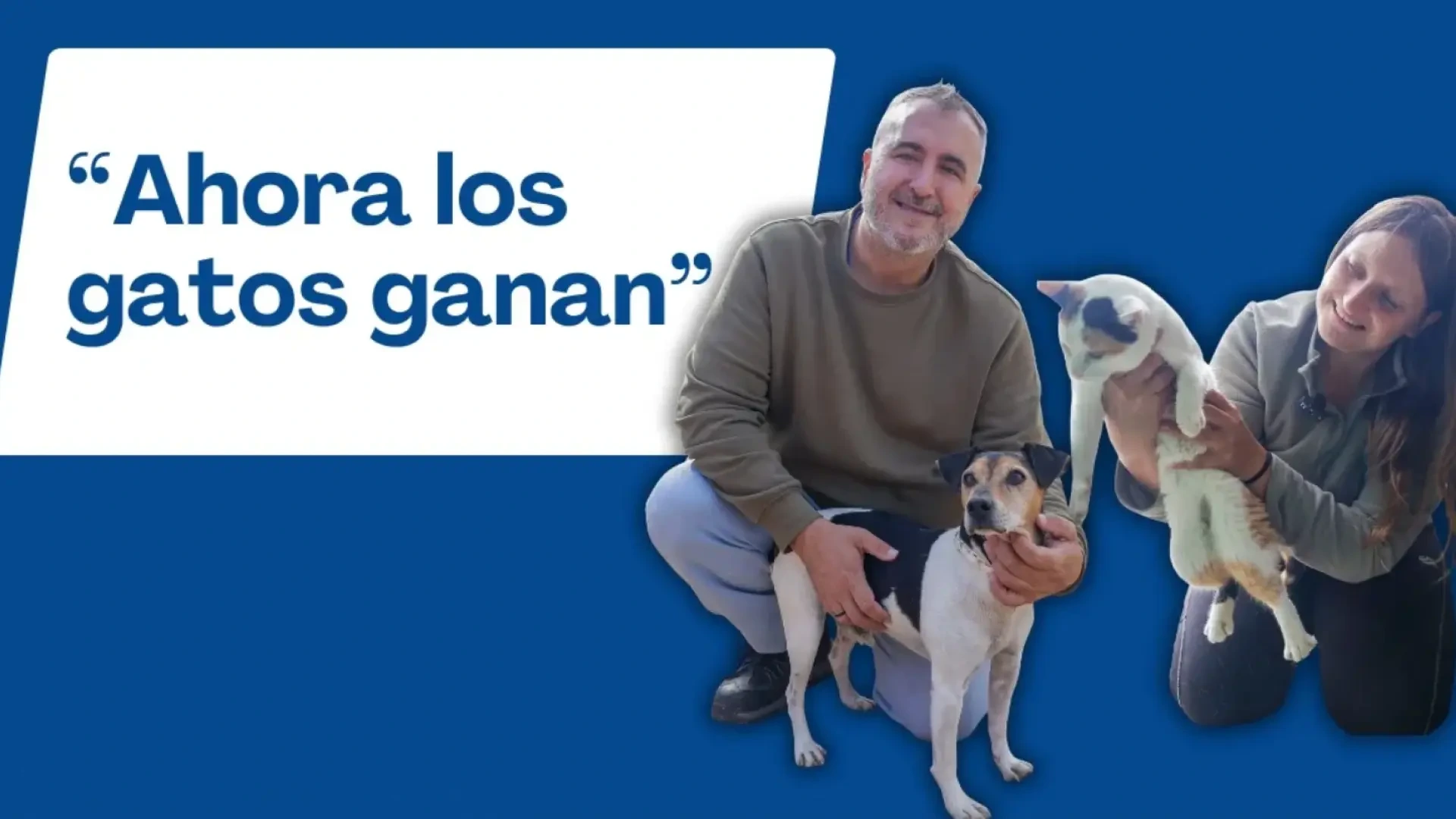 Un informe apunta a un cambio de tendencia en la adopción animal en España: "Era un país de perros"