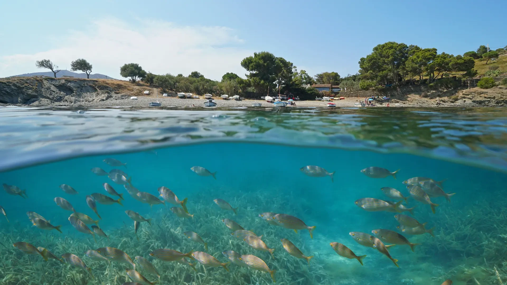 España ante el cambio climático: es hora de adaptarse