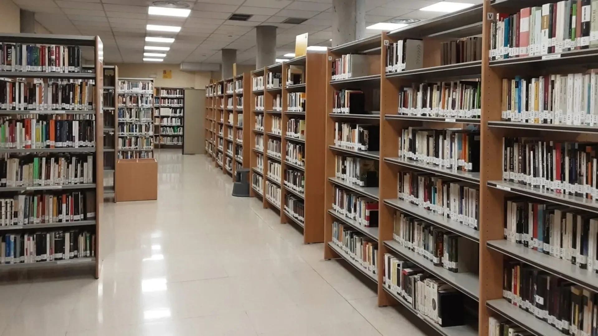 El Ministerio de Cultura reivindica en el Día de las Bibliotecas 2026 el papel de sus trabajadores