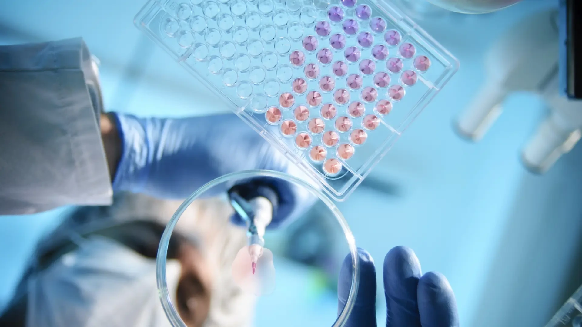 Un estudio revela cómo una bacteria es capaz de burlar una de las primeras defensas del organismo