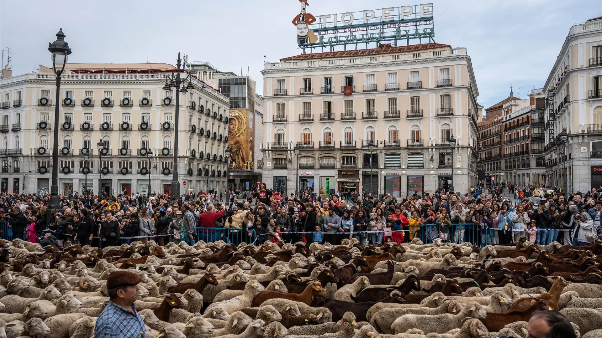 Programa de la Fiesta de la Trashumancia de Madrid de este año