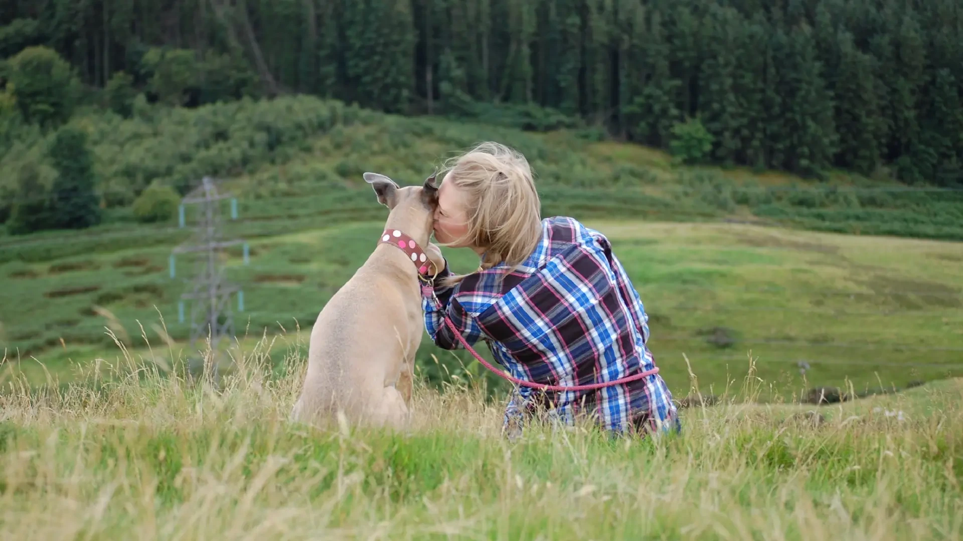Convivir con un animal no garantiza ser más feliz ni estar más sano