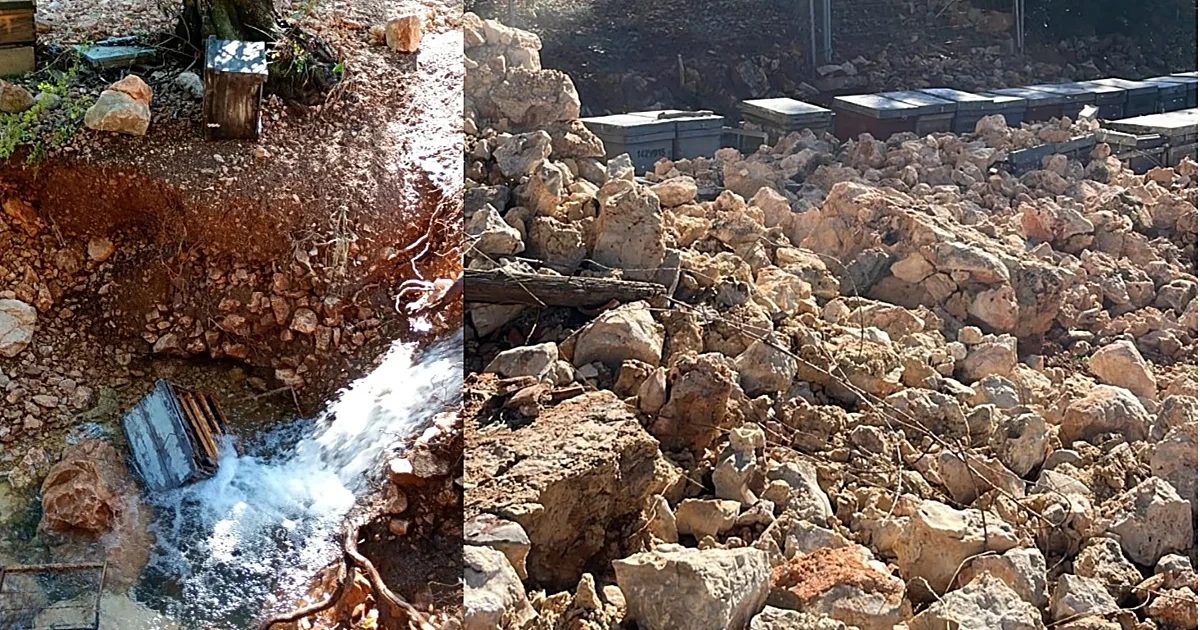 La dana Adam destruye un millar de colmenas en Alicante y Valencia