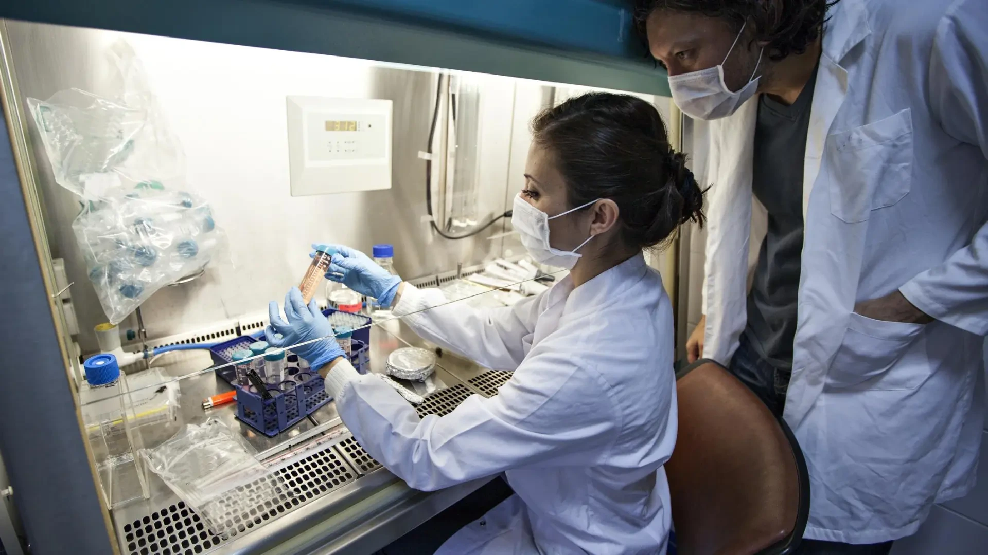 La OMS analiza los riesgos del cáncer según el sexo y el nivel económico