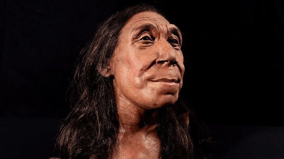 La herida que sugiere que los neandertales eran más violentos de lo que se creía