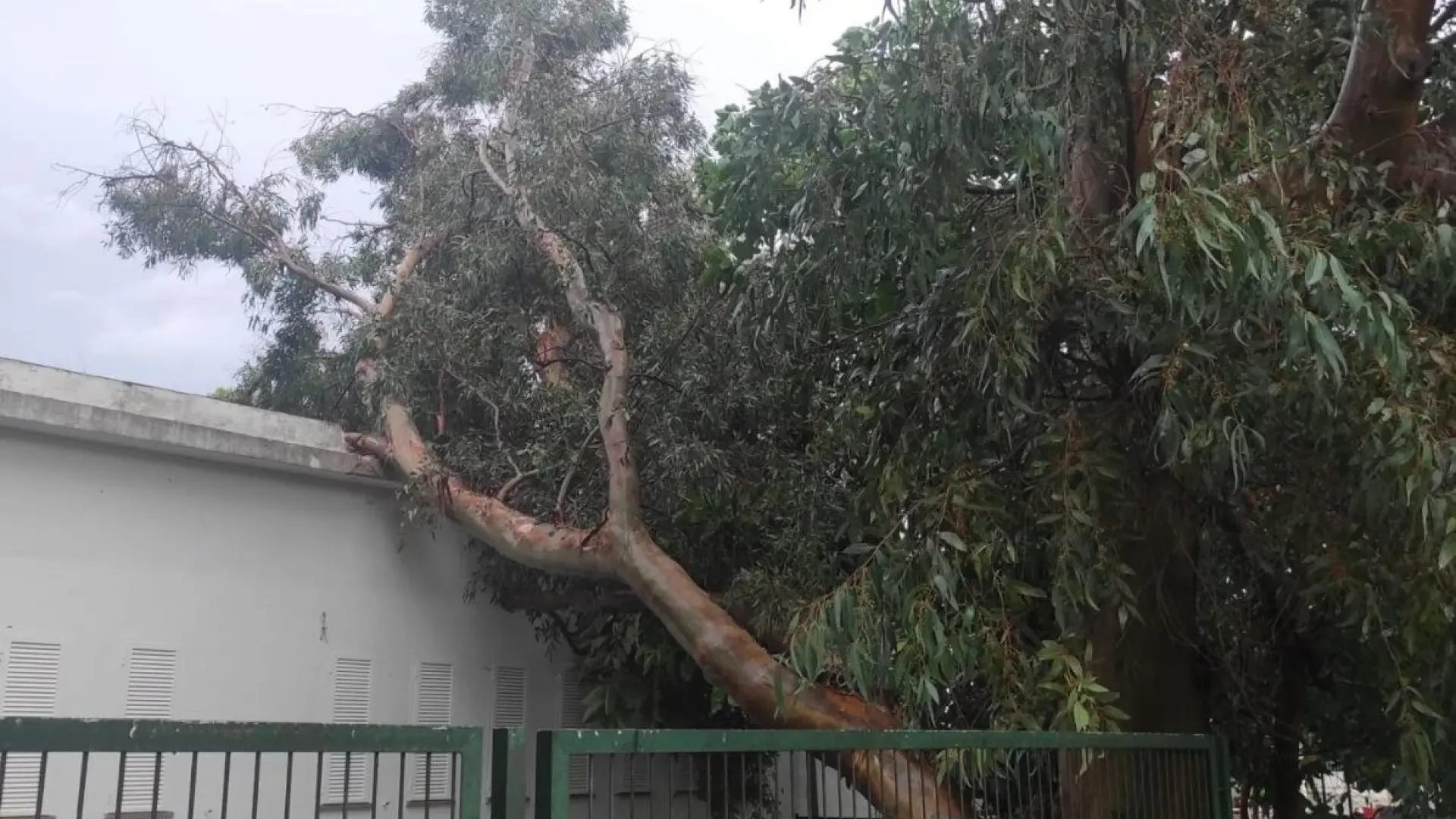 Adam provoca el derrumbe de una parte del techo del Cine Iris en Palma y obliga a cerrar tres aulas infantiles