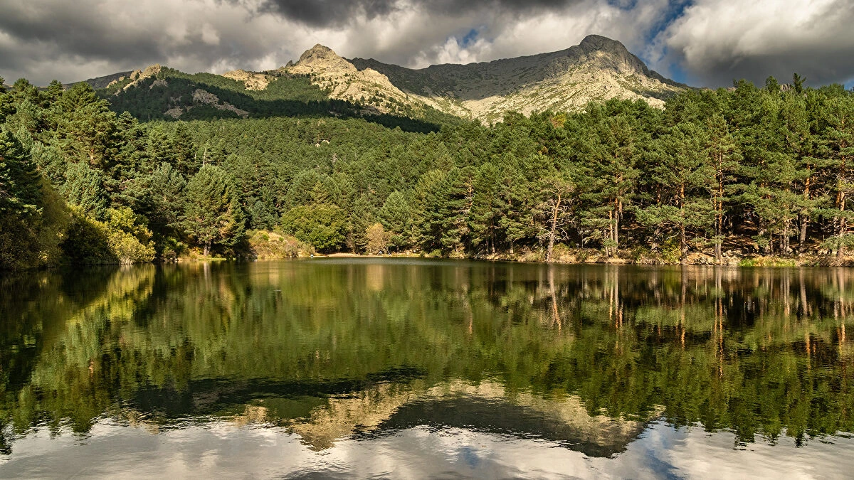 El otro Madrid está entre árboles: diez bosques para descubrir la naturaleza más desconocida