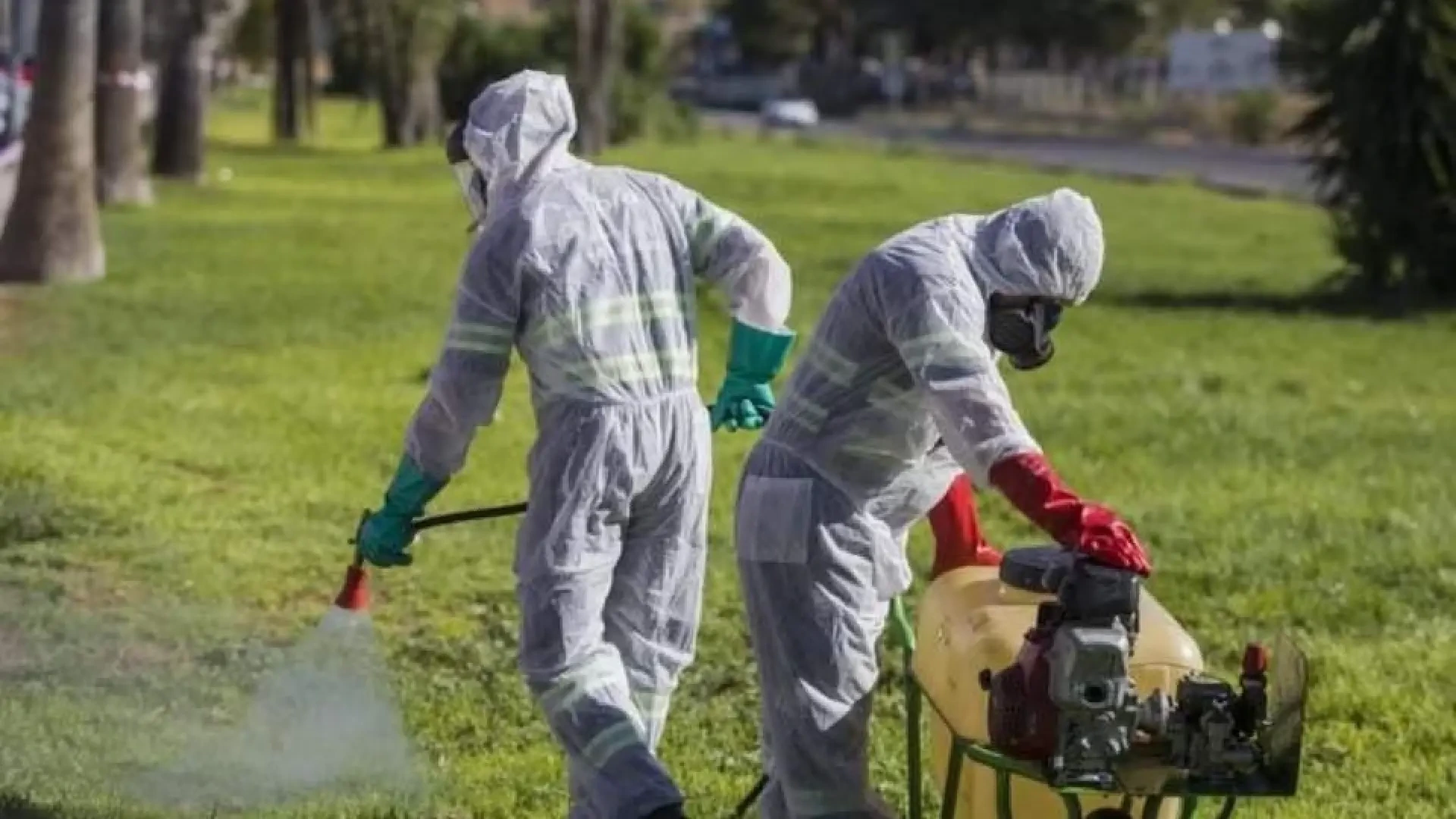 San Fernando pasa a nivel de riesgo alto al confirmarse un afectado por el virus del Nilo