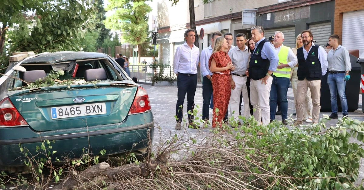 Granada, sede del mayor simulacro de terremotos en España el próximo 10 de noviembre
