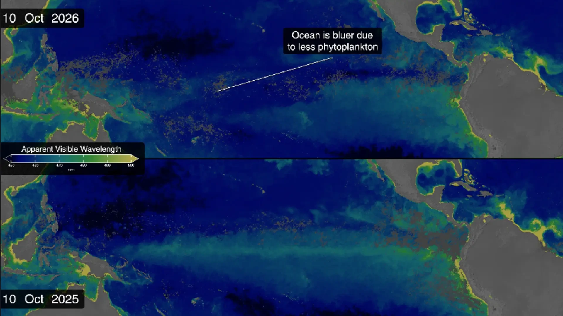 El Niño de este año es tan intenso que está cambiando el color del océano... y esta es la trágica razón