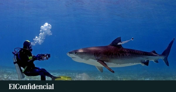 Cádiz mira al mar para atraer inversión y generar empleo