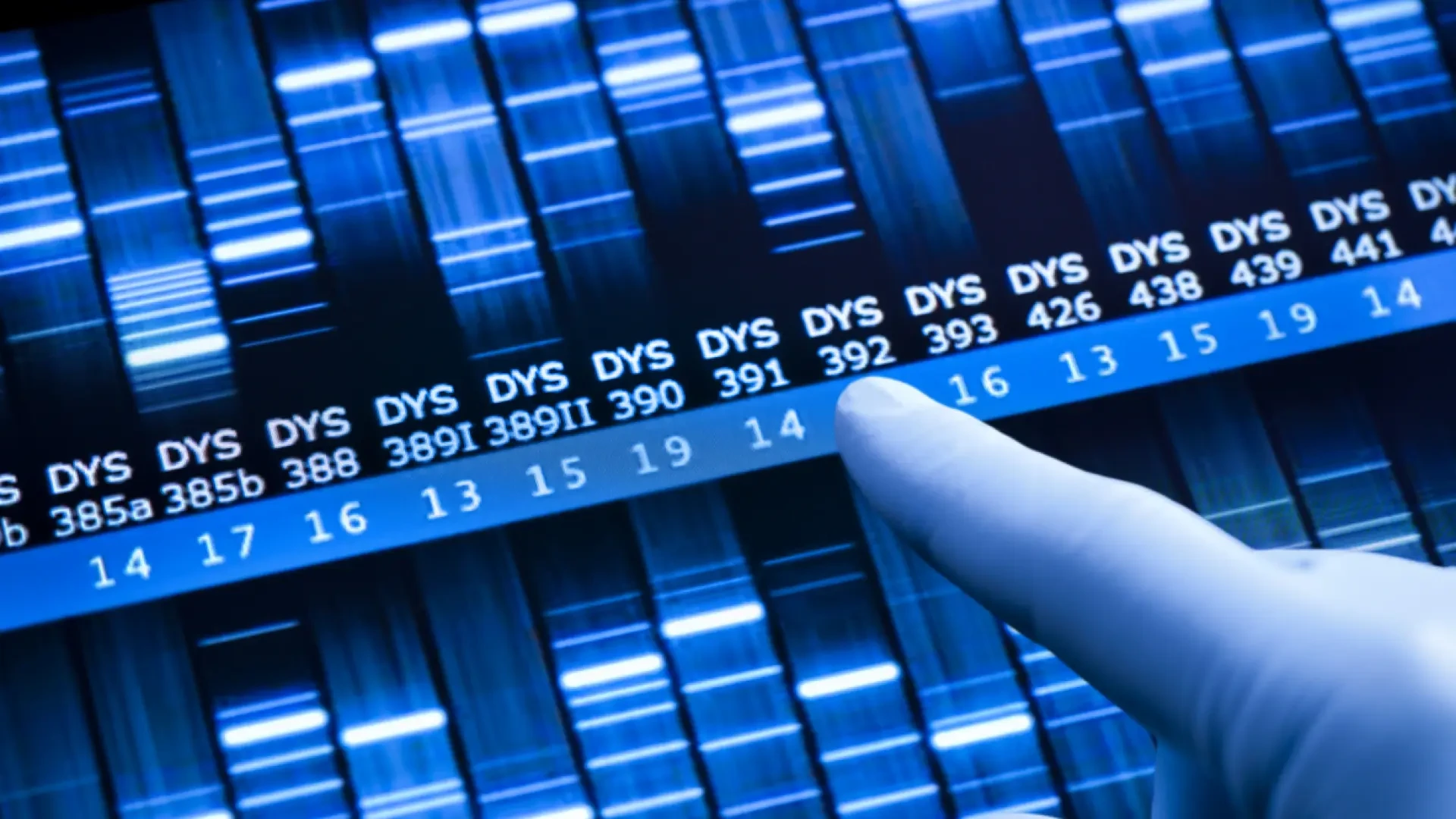 La técnica genética que permitió identificar la covid y detecta casi cualquier infección