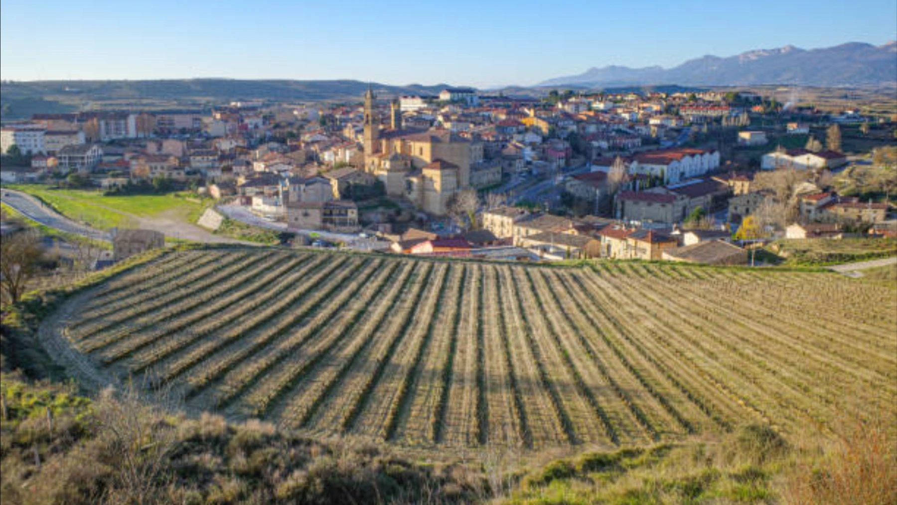 Ni Francia ni Italia: el pueblo con más bodegas por habitante del mundo está en este pueblo de Álava