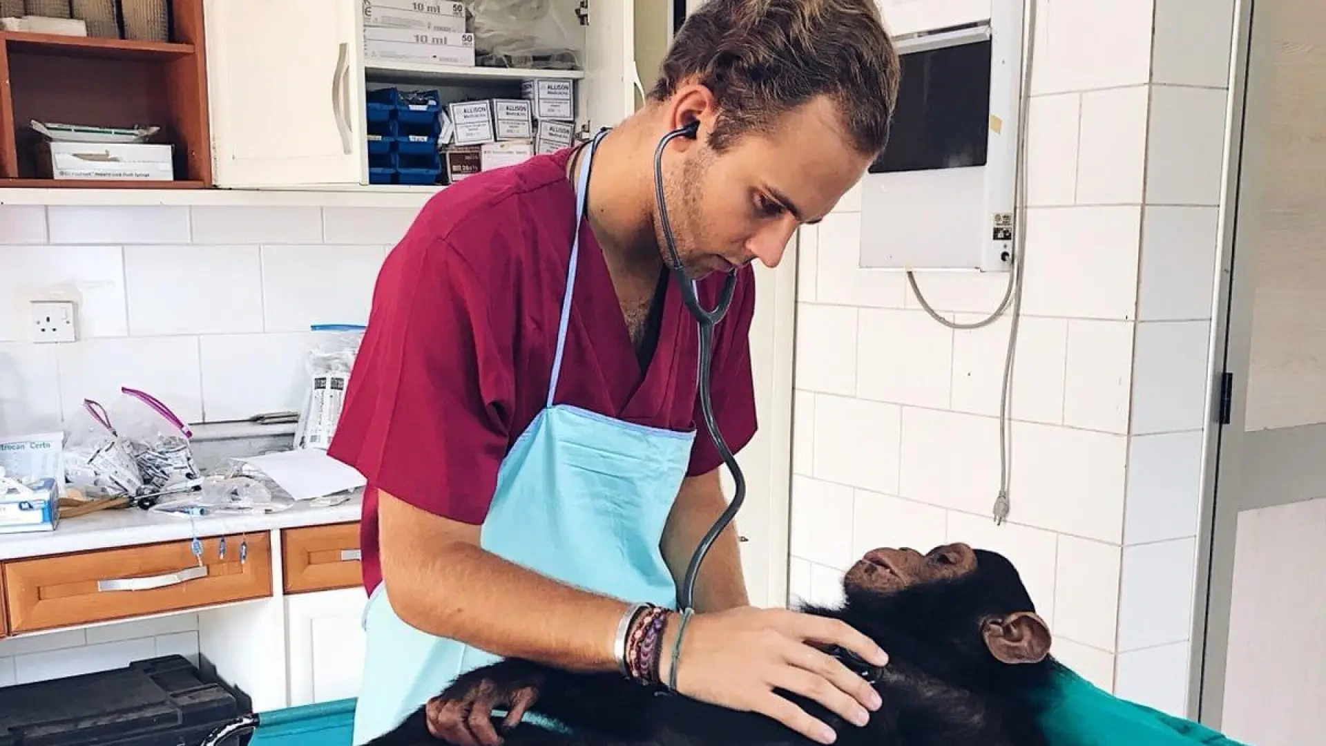 "Tener un animal es una responsabilidad con independencia de la especie"