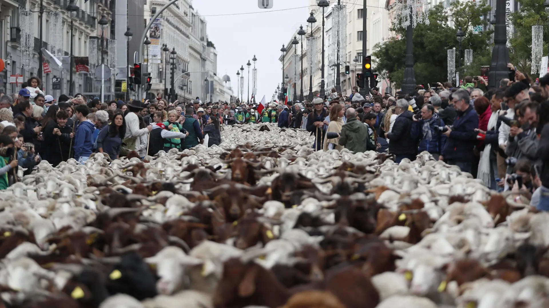 Cortes de tráfico en Madrid por la Fiesta de la Trashumancia: estas son todas las calles afectadas